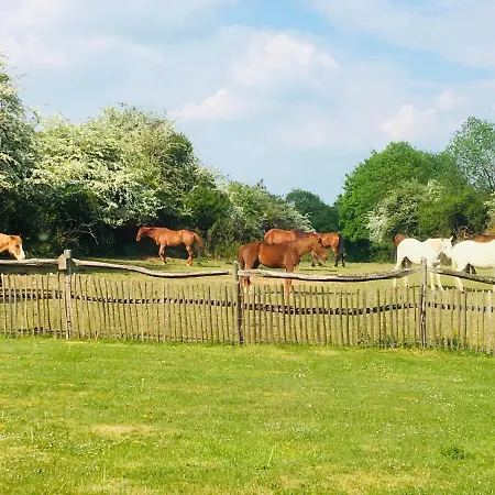 La Maison Aux Pres 3*