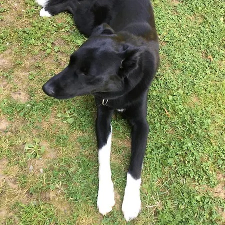 La Maison Aux Pres 3*