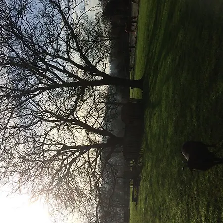 ゲストハウス La Maison Aux Pres 3*