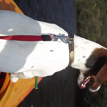 La Maison Aux Pres ゲストハウス 3*