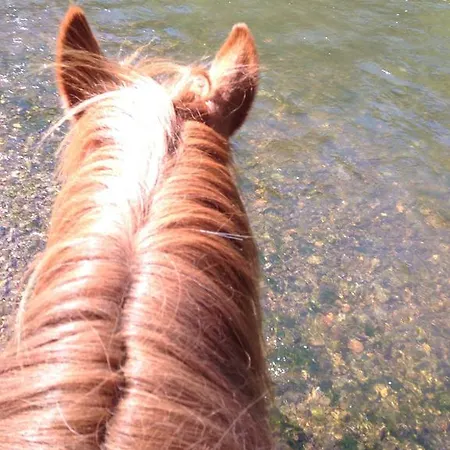 ゲストハウス La Maison Aux Pres デュルビュイ