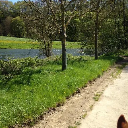 La Maison Aux Pres 3* デュルビュイ