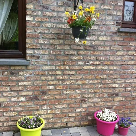 ゲストハウス La Maison Aux Pres デュルビュイ