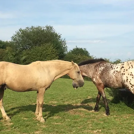 La Maison Aux Pres 3* デュルビュイ